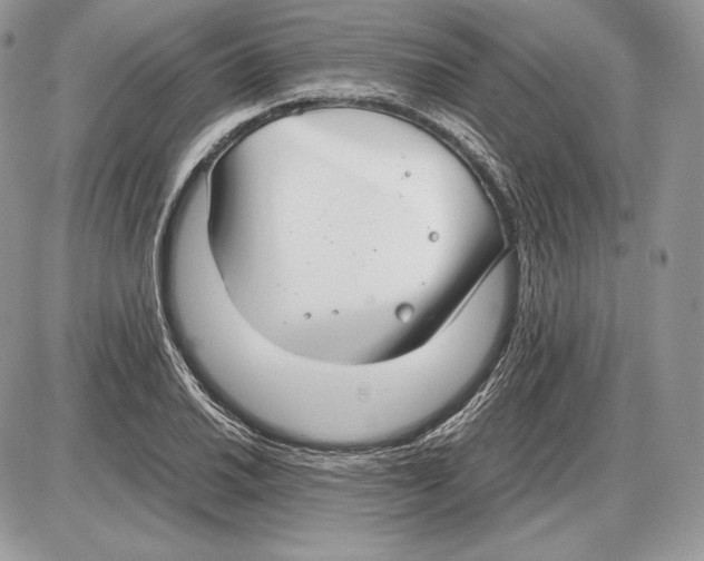 X0000085781030200704131824