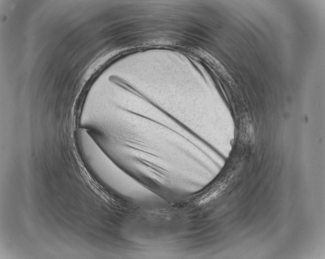 X0000085781031200704131824