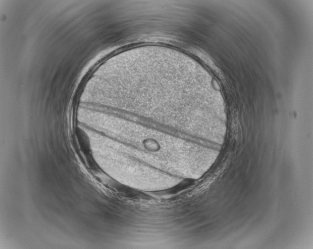 X0000085781032200704131824