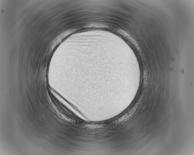 X0000085781033200704131824