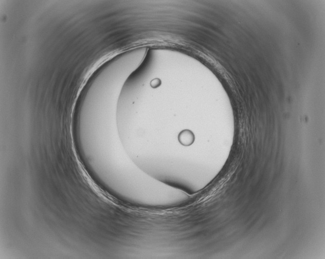 X0000085781034200704131824