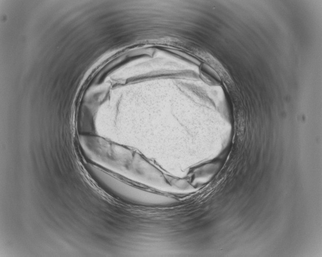 X0000085781036200704131824