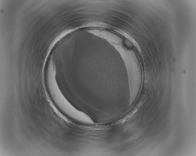 X0000085781037200704131824