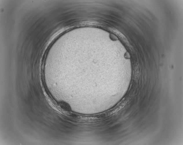 X0000085781039200704131824