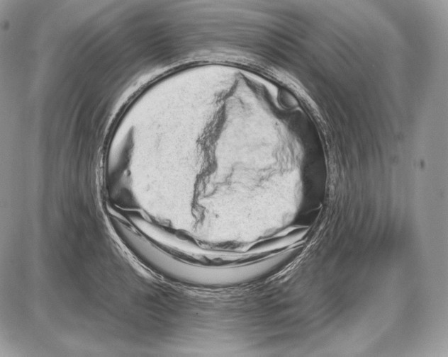 X0000085781040200704131824