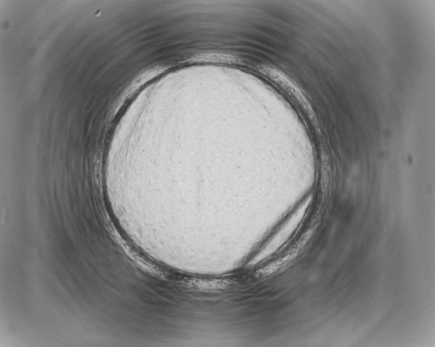 X0000085781041200704131824