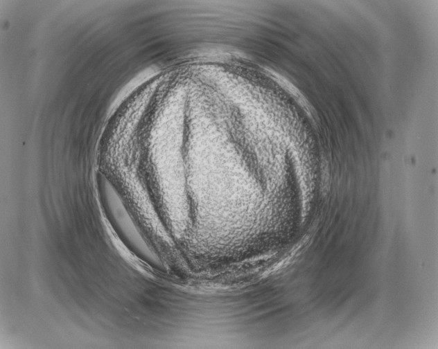 X0000085781042200704131824