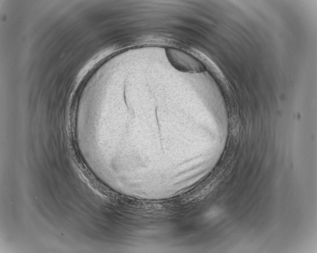 X0000085781043200704131824