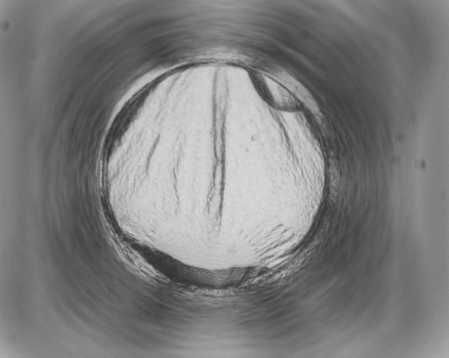 X0000085781044200704131824