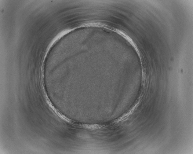 X0000085781045200704131824