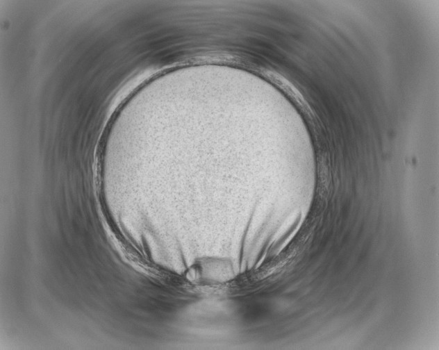 X0000085781047200704131824