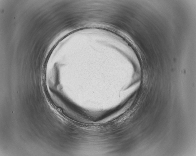 X0000085781048200704131824