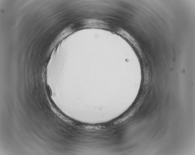 X0000085781049200704131824