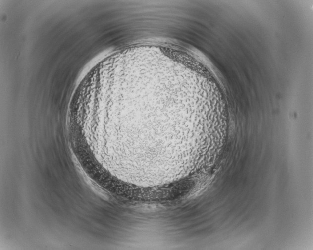 X0000085781050200704131824