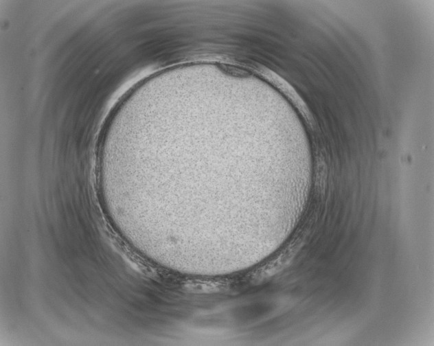 X0000085781051200704131824