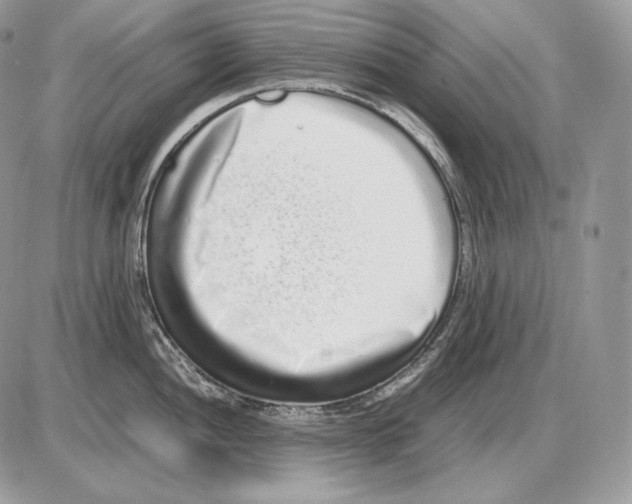 X0000085781052200704131824