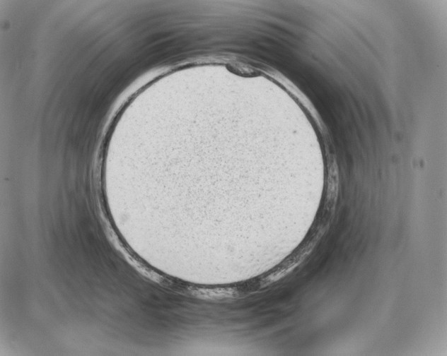 X0000085781053200704131824