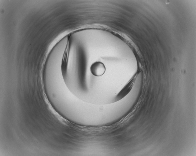 X0000085781054200704131824