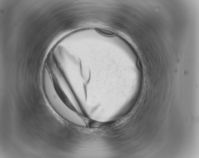 X0000085781056200704131824