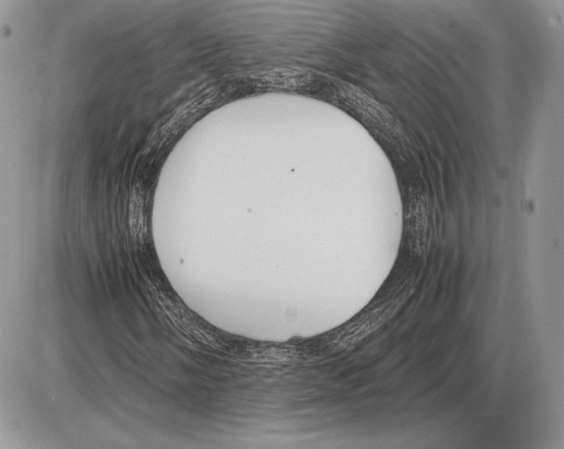 X0000085781058200704131823