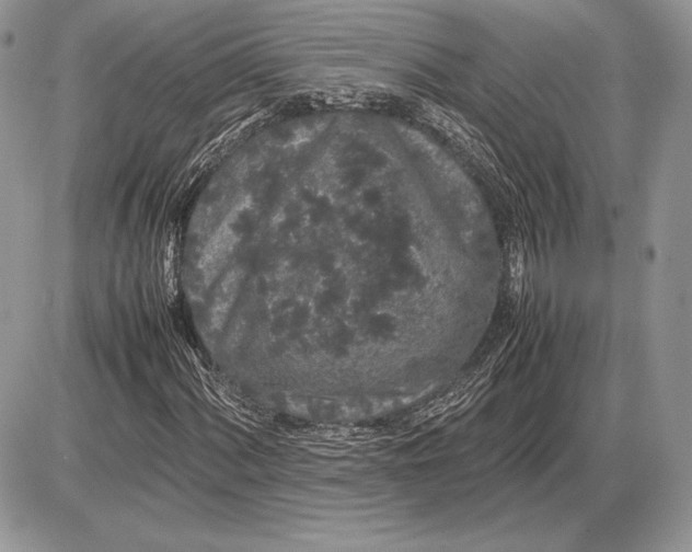 X0000085781060200704131823