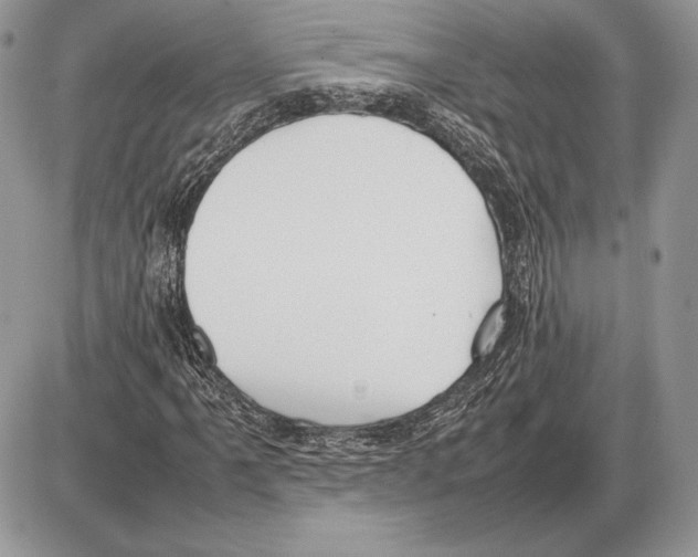 X0000085781061200704131823