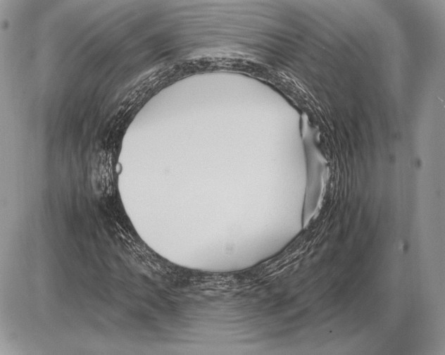 X0000085781062200704131823