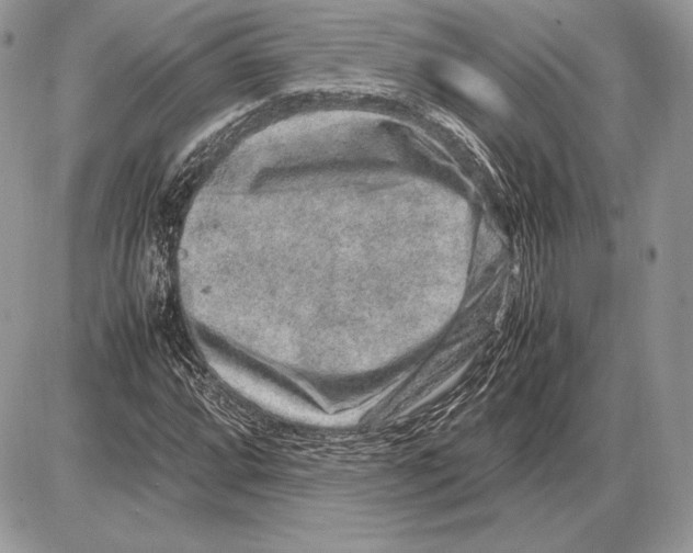 X0000085781064200704131823