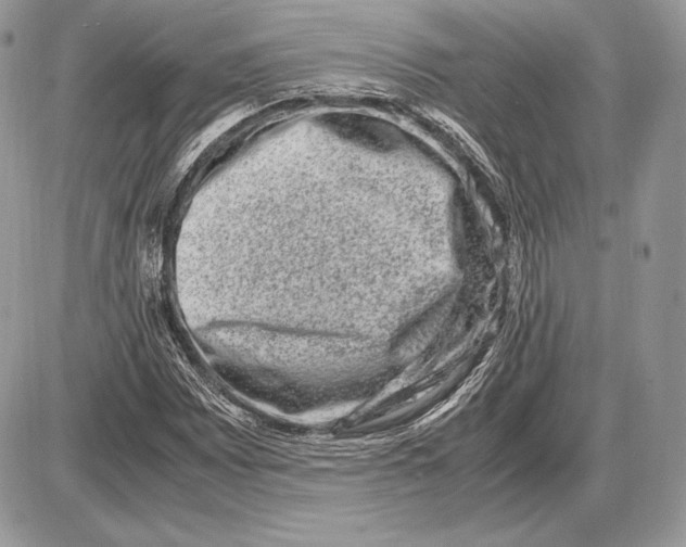 X0000085781065200704131823