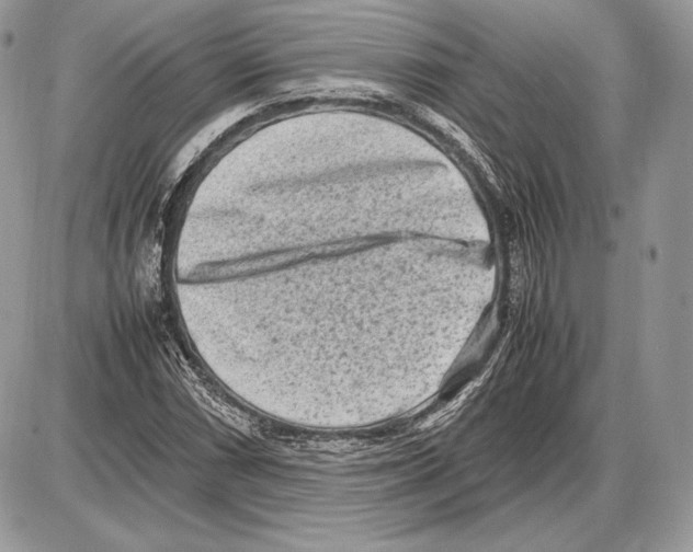 X0000085781066200704131823