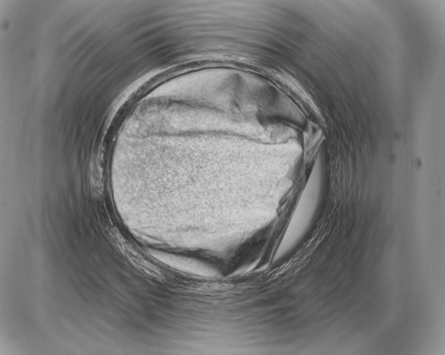 X0000085781068200704131823