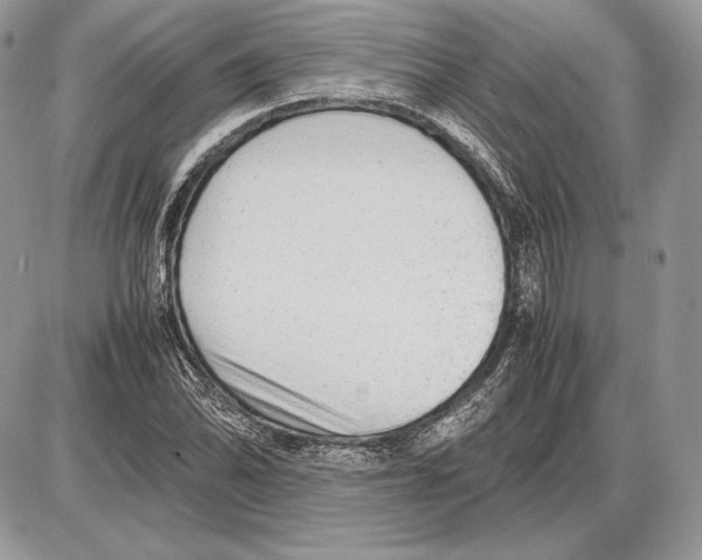 X0000085781070200704131823