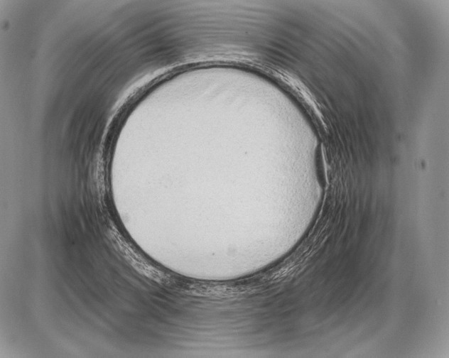 X0000085781072200704131823