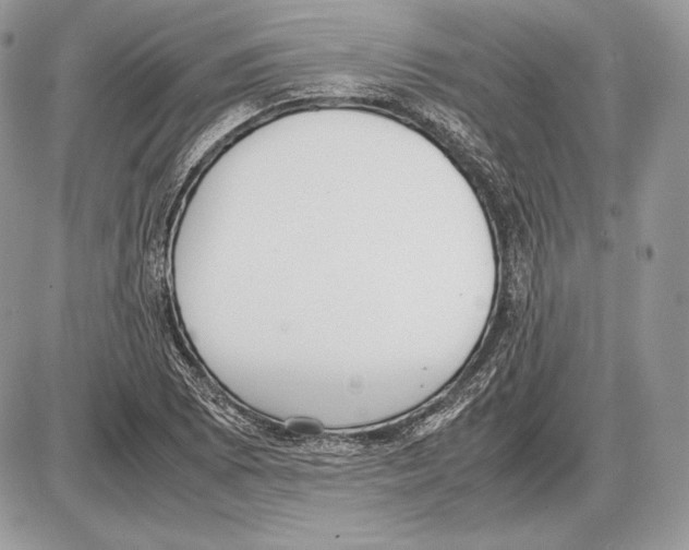 X0000085781073200704131823