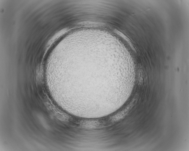 X0000085781074200704131823