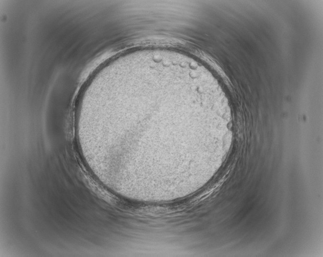 X0000085781075200704131823