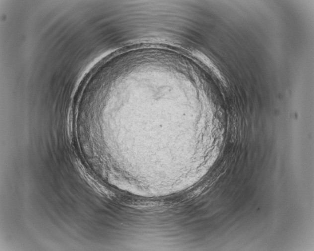 X0000085781076200704131823