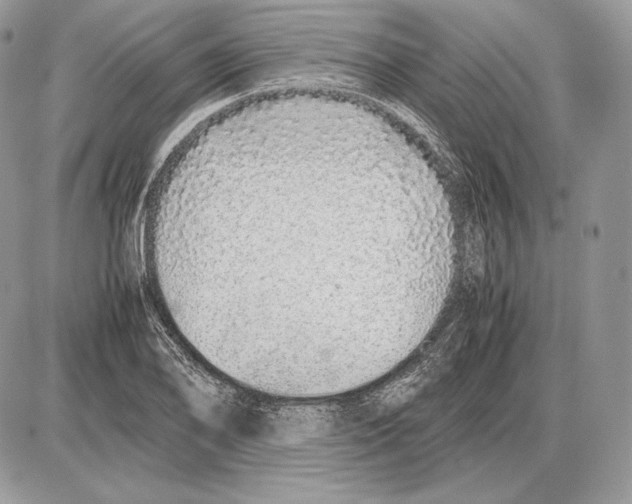 X0000085781078200704131823