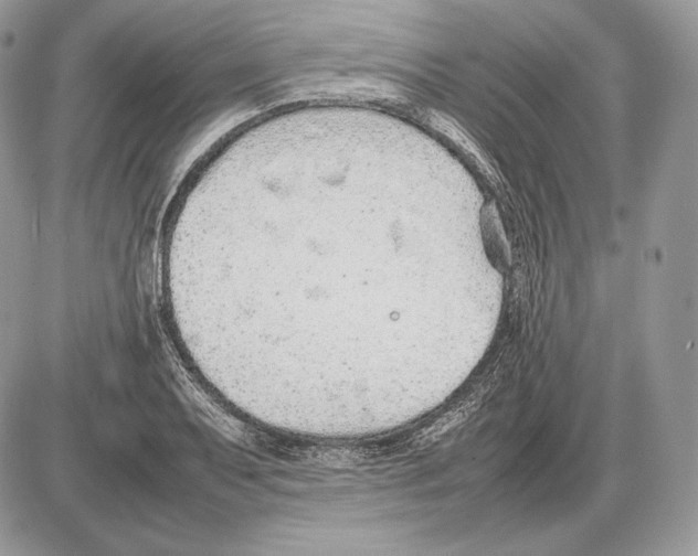 X0000085781079200704131823