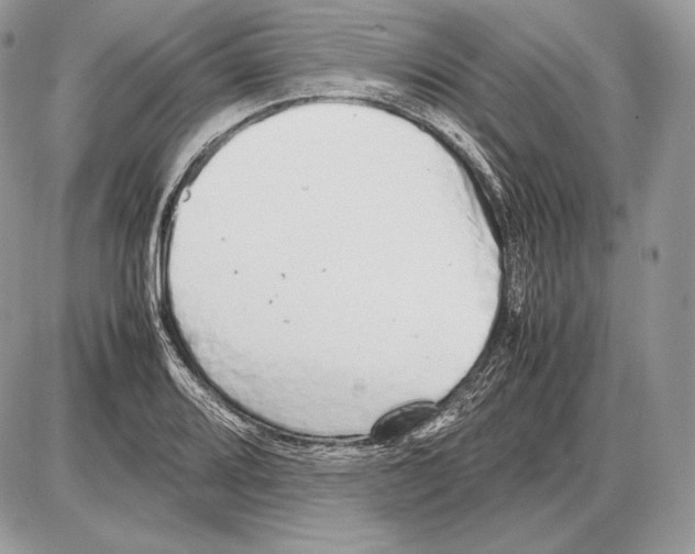 X0000085781080200704131823