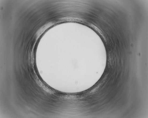 X0000085781082200704131823