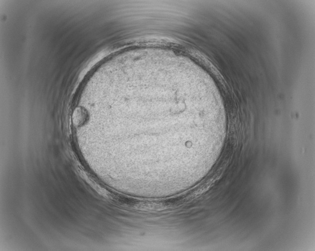 X0000085781083200704131823