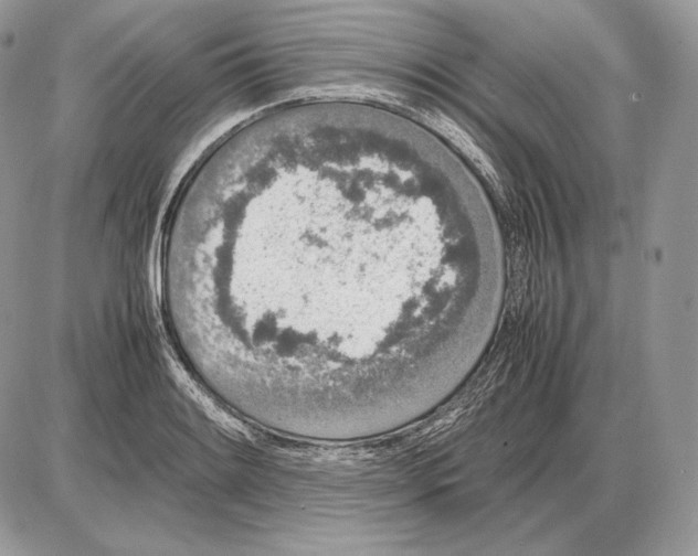 X0000085781084200704131823