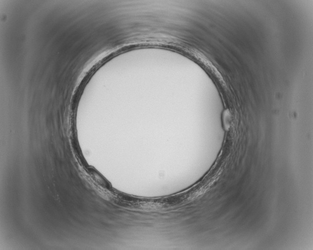 X0000085781085200704131823