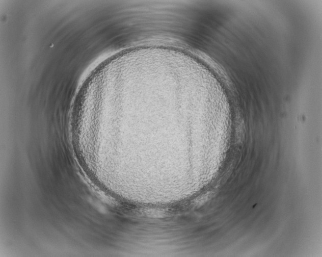 X0000085781086200704131823