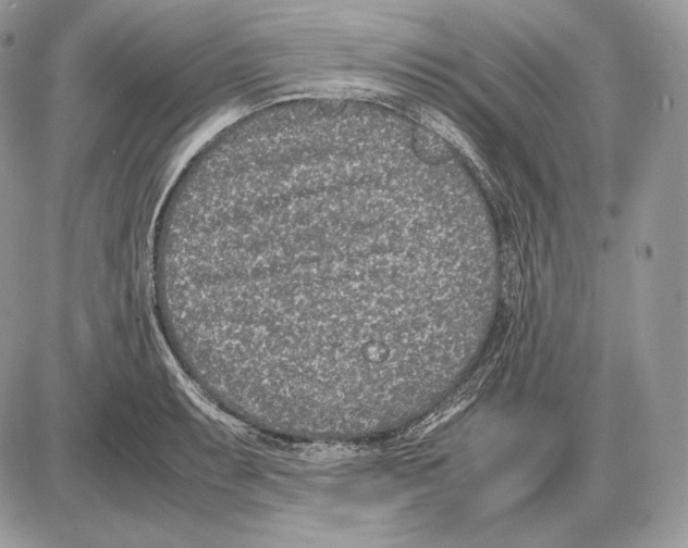 X0000085781087200704131823