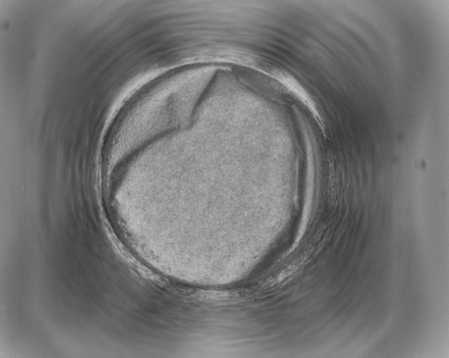 X0000085781088200704131823