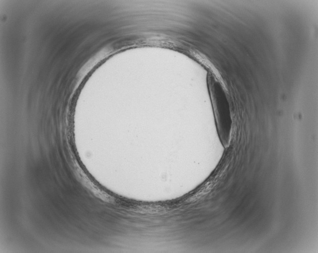 X0000085781091200704131823