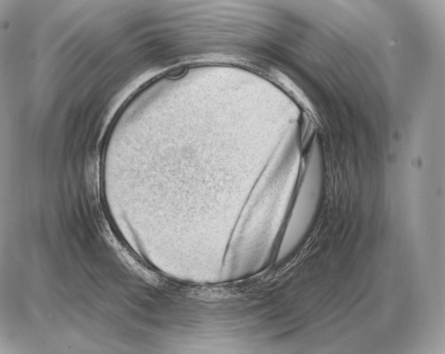 X0000085781092200704131823