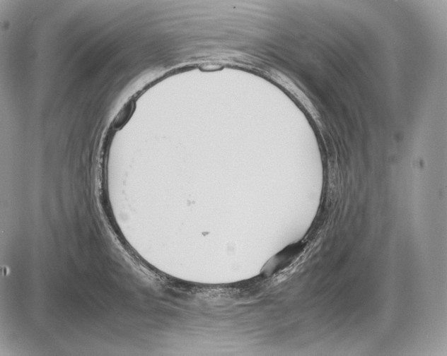 X0000085781093200704131823